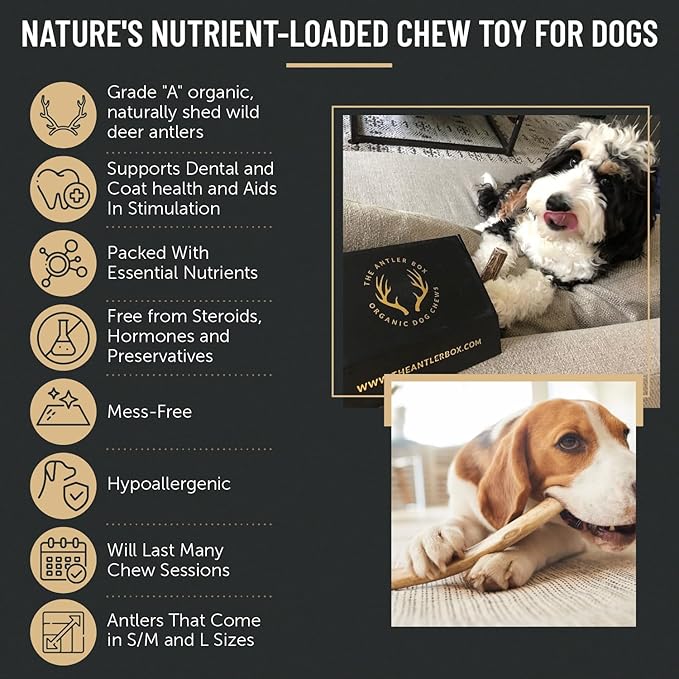 The Antler Box Premium Deer Antler Dog Chews (1 lb Bulk Pack) (Medium (5 Antlers/lb)…