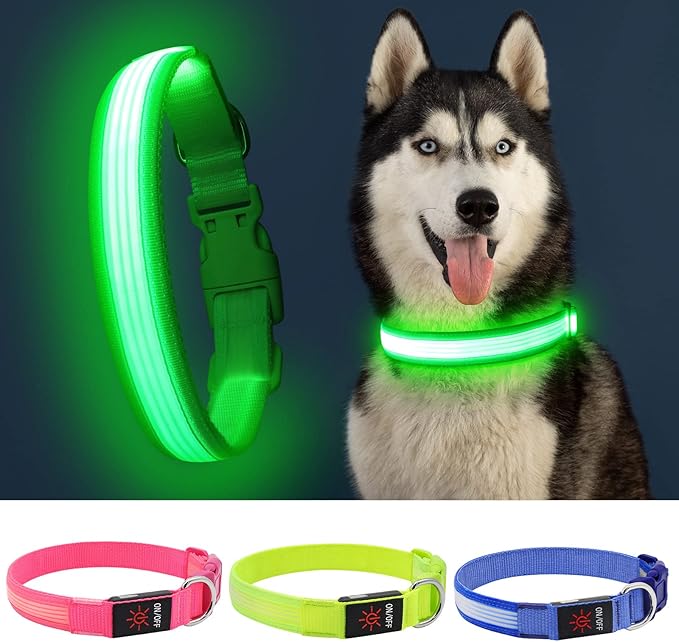 YFbrite Light up Dog Collar, USB Rechargeable LED Puppy Collar Super Bright Adjustable Glowing Dog Lights for Night Walking (Design 2-Green, Small)
