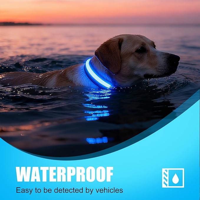LED Dog Collar Rechargeable- Brightest Light Up Dog Collars - 1,600 Feet of High Visibility - Magnetic Charging - Glow in Dark Dog Lights for Night Walking, Black M