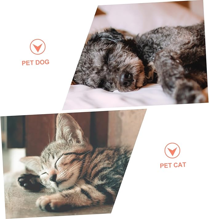 Hemoton Automatic Pet Water Dispenser Cat and Dog Water Feeding Bowl Bright Color Design Durable and Practical for Home Use No-Spill Feature for Pet Owners