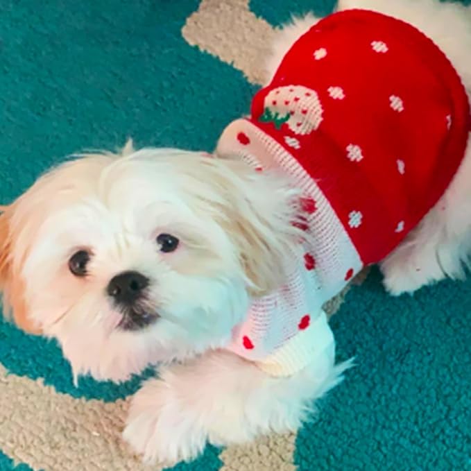 CHBORCHICEN Pet Dog Sweaters Classic Knitwear Turtleneck Winter Warm Puppy Clothing Cute Strawberry and Heart Doggie Sweater (Red1, Small)