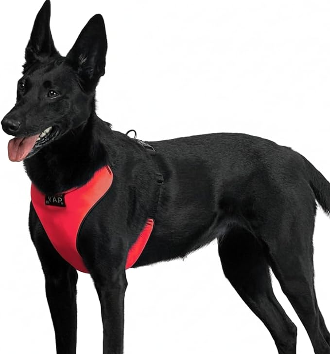 YAP Techno® No Pull Dog Harness, 4-Way Adjustable, Temperature Controlled Pet Vest Harness, Chokefree Dog Harness with Easy Control Handle for All Breeds; 30-55 lbs (Imperial Red, Medium-Wide)