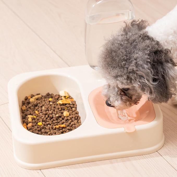 Indoor Dogs Double Feeding Bowls and Automatic Water Dispenser Pet Eating Drinking Pet Dogs Bowls Multi-Color Can Choose
