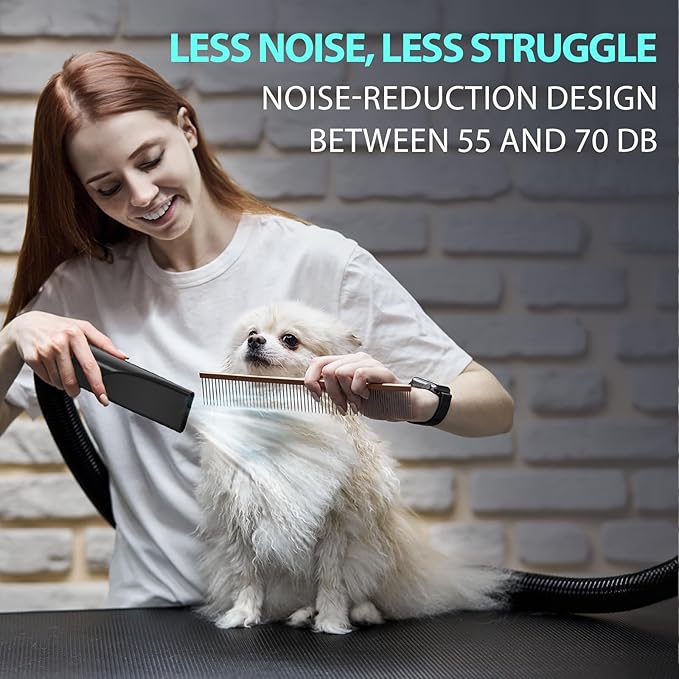 Dog Dryer High Velocity Dog Hair Dryer 5.2HP/3800W, Stepless Adjustable Speed Temperature Dogs Grooming Blow Dryer, Pet Dryer with 4 Nozzles,Blow Dryer for Dogs, Black