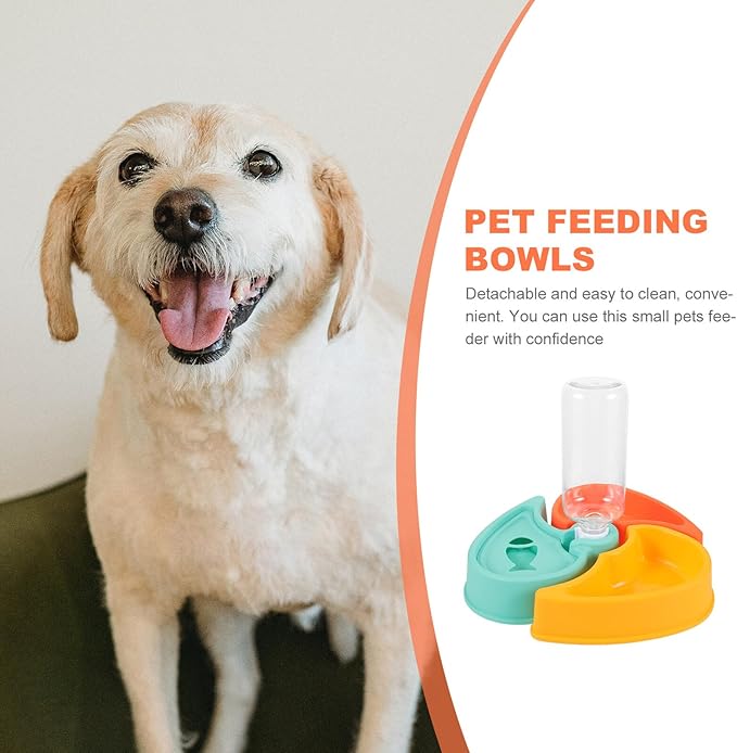 Dry and Wet Food Separation Pet Feeder Bowl with Water Dispenser, Anti-Skid Dog and Cat Feeding Station for Indoor Use
