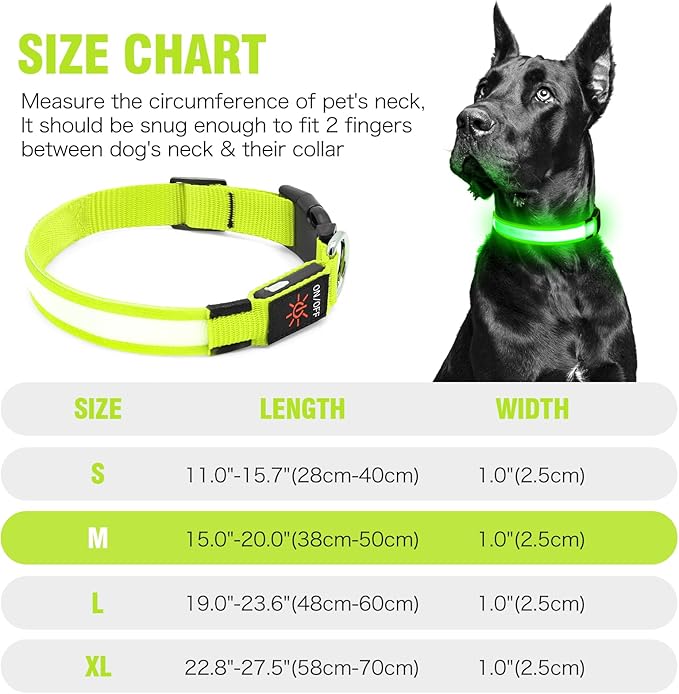 Illumifun LED Dog Collar, USB Rechargeable Light Up Dog Collar Glow in The Dark (Green, Medium)