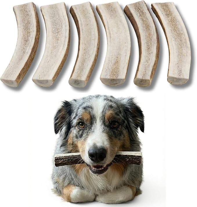 Whitetail Naturals Split Elk Antler Dog Chews (6 Pack, Small) Long-Lasting Bones for Aggressive Chewers, Odor-Free Half-Cut Elk Antlers for Dogs
