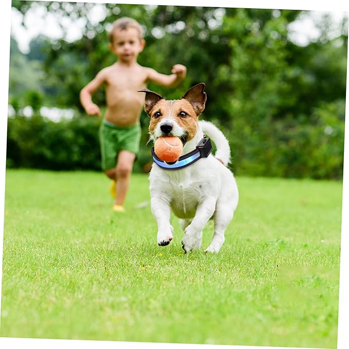 USB Charging Pet Collar Led Flashing Collar for Dogs Night Safety Accessory Fashionable Puppy