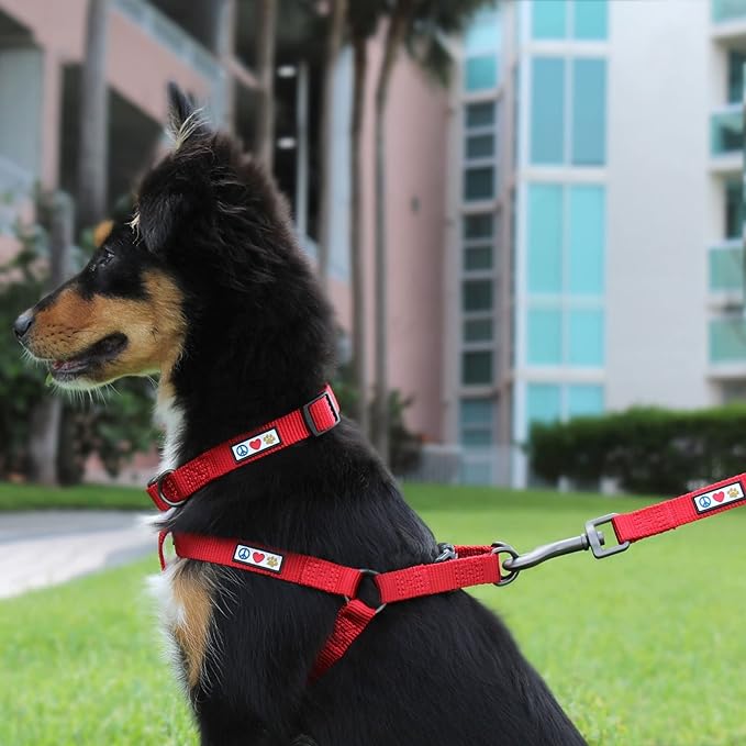 Pawtitas Solid Step-in Dog Harness – Adjustable No-Pull Vest for Puppies to Seniors, Safe & Comfortable L Lush Green
