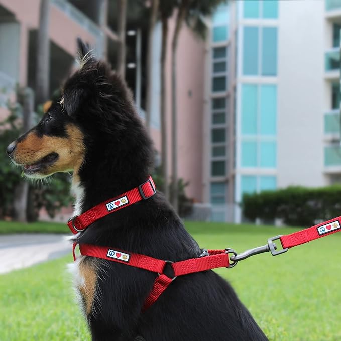 Pawtitas Solid Step-in Dog Harness – Adjustable No-Pull Vest for Puppies to Seniors, Safe & Comfortable M Black