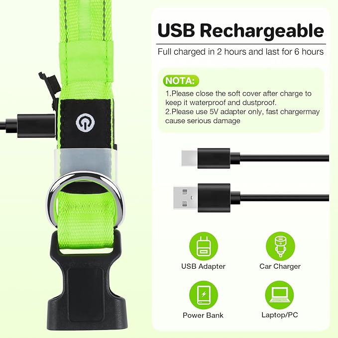 Light Up Dog Collar, USB Rechargeable 6 Modes, Waterproof Charging Port, Long Lasting LED Collar - Adjustable Nylon Reflective for Dogs, Sizes S/M/L (7/9/11 Lights) - 5 Colors (Green, L)