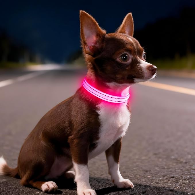 Light Up Dog Collar for Small Dogs - LED Dog Collar Rechargeable Adjustable Puppy Collars, Glow in The Dark Dog Lights for Night Walking & Camping (X-Small, Pink)