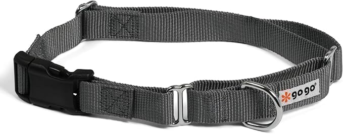 GOGO Pet Products Martingale Dog Collar, Medium, Gray