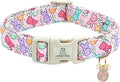 Lionheart glory Easter Dog Collar Colorful Collar for Medium Dog Collars Easter Egg Print Dog Collars Spring Female or Male Pet Gift Adjustable Heavy-Duty Holiday Dog Collar Plastic Buckle