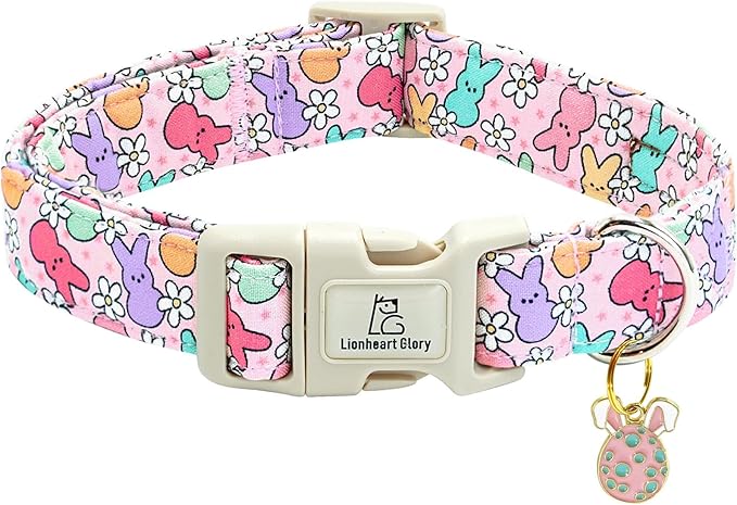 Lionheart glory Easter Dog Collar Colorful Collar for X-Small Dog Collars Easter Egg Print Dog Collars Spring Female or Male Pet Gift Adjustable Heavy-Duty Puppy Collar Holiday