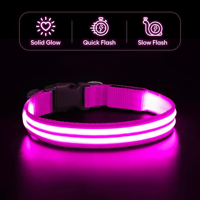 BSEEN Light Up Dog Collar - Rechargeable LED Dog Collar Glow in The Dark Dog Camping Essenstials Reflective Dog Collar Lights for Night Walking (Pink, Medium)