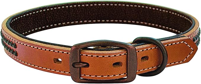 Weaver Leather Pet Outlaw Collar
