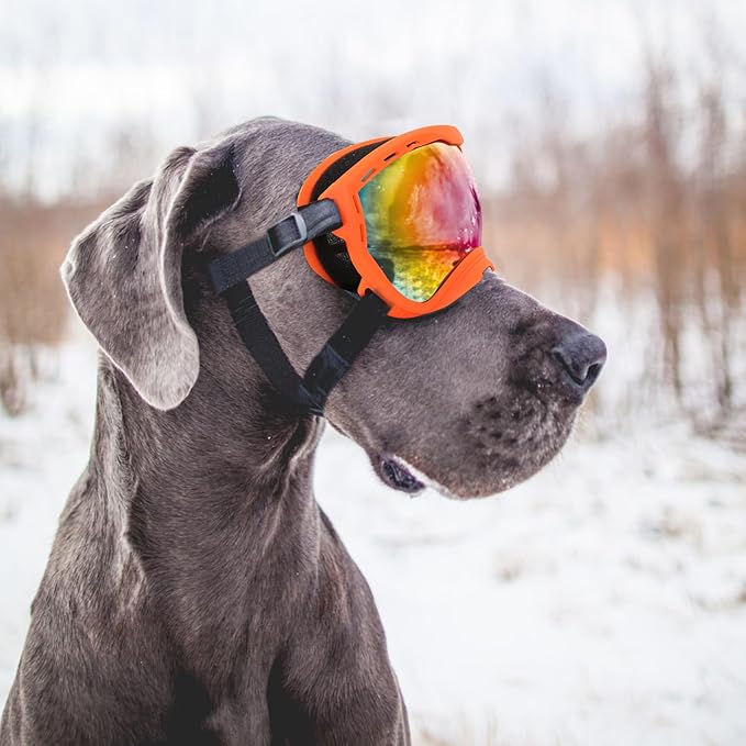 Dog Goggles for Large Dogs, UV Wind Dust Fog Protection, Soft Frame Adjustable Dog Sunglasses, Summer Driving & Winter Snow Eyewear, Tactical Pet Glasses with Elastic Strap (Orange)
