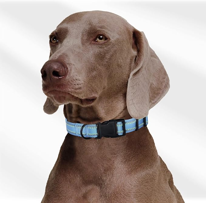 Mile High Life Reflective Dog Collar, Basic Dog Collars Adjustable Quick Release, Soft Nylon Pet Collar with Metal D-Ring for Small Medium Large Dogs (Blue, L Neck15-19")