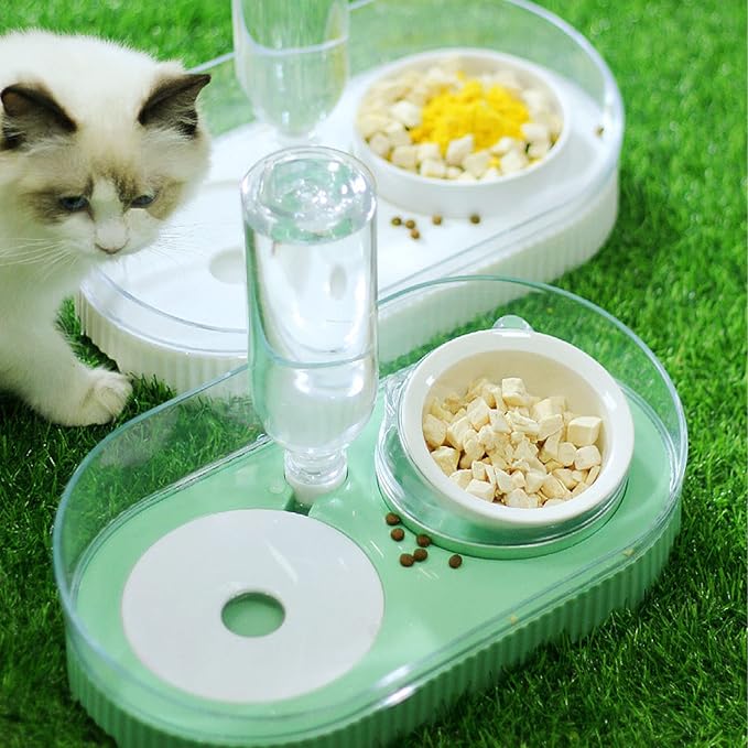 Elevated Dog Cat Bowls, Ceramic Water and Food Bowl Set with Automatic Waterer Bottle, 2 in 1 Cat Food Dispenser with Wet and Dry Food Bowl for Cats and Small Dogs Kitten Puppy(Green)