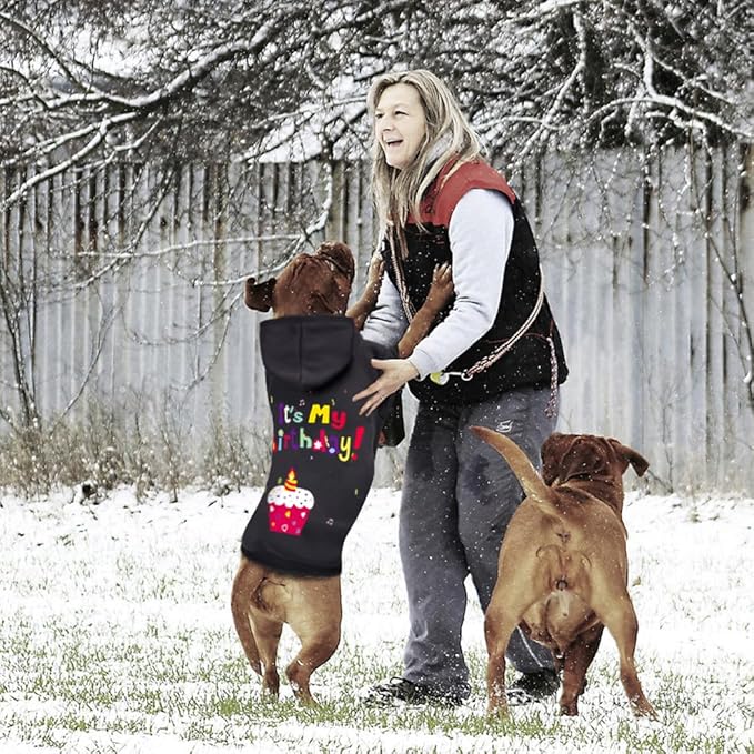 GreenJoy Dog Sweater Dog Hoodie Cold Weather Coat Hooded Sweatshirt for Puppies,Cats, Small Medium Large Dogs (Black(It's My Birthday), Small)