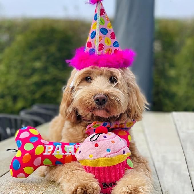 Huxley & Kent for Dogs - Party Time Pink Bone (Large) - Birthday Power Plush Dog Toy with Squeaker - Funny & Cute Dog Toy - H&K Squeaky