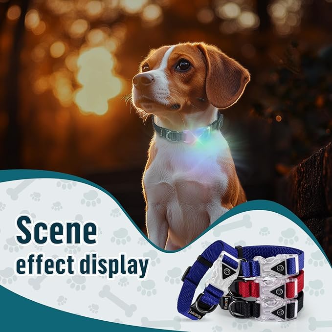 Small Light Up Dog Collar, Cotton Black Dog Collar Girl Boy, Lighted Dog Collars for Night, IP67 Waterproof Lighted Dog Collars for Small Dogs with Buckle, D-Ring (9.8"-15.7" L, 3/4" W)