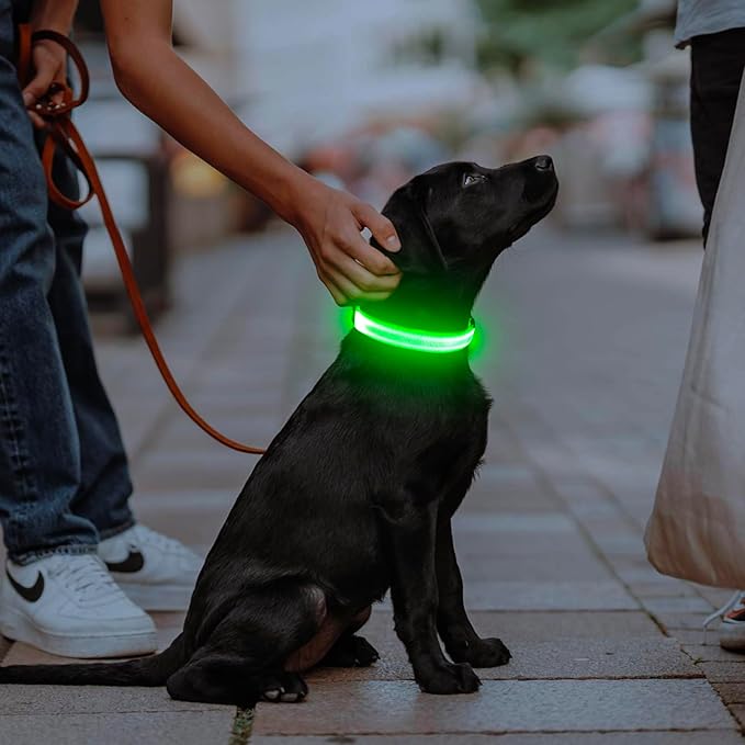 Illumifun LED Dog Collar, Light Up Dog Collar Rechargeable Glow in Dark Pet Collar Safety Dog Lights for Night Walking Camping (Green, Large)