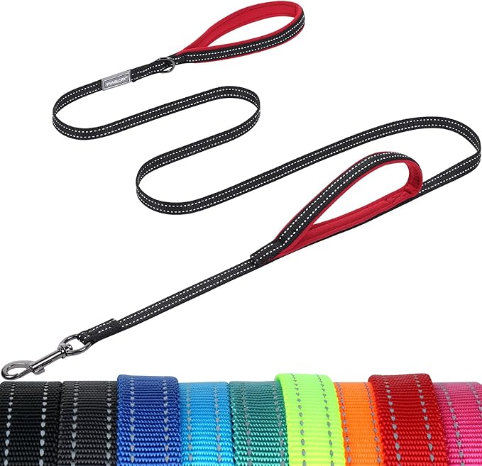 VIVAGLORY Twingrip Dog Leash, Double Handle Dog Leash for Training & Walking with Traffic Handle & 2 Loop, Traffic Control Reflective Heavy Duty for Puppy Pet, 6ft x 1/2in, Black