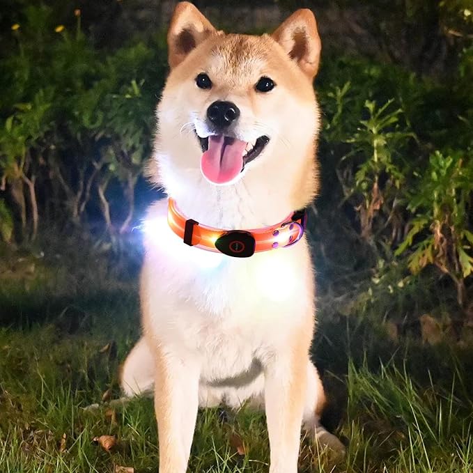 Light Up LED Dog Collar - Rechargeable Pet Necklace Accessory, Adjustable Luminous Collar,PVC Rubber Coated LED Dog Collarr Specification | Lighted Outdoor Protectionfor Small,Medium and Large Breeds