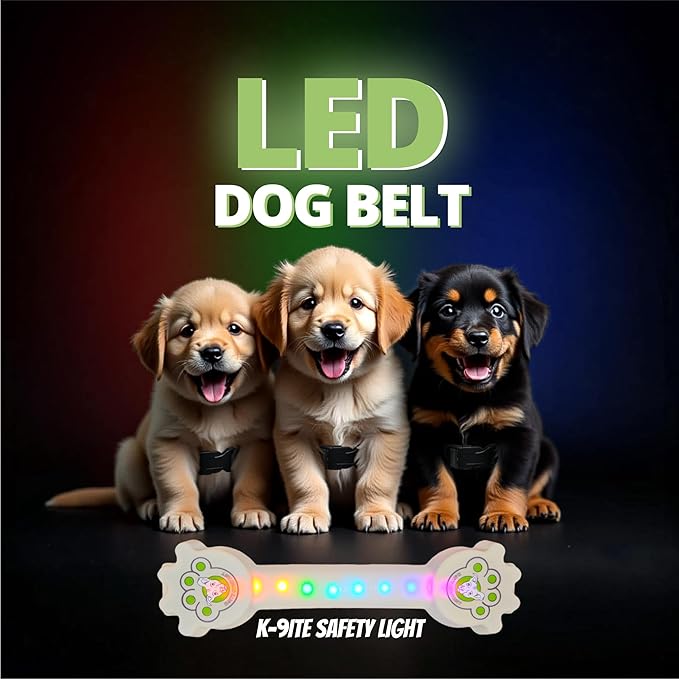 Rechargeable LED Dog Collar, Adjustable Size Light Up Collar with 360° Halo Effect, Ultra-Bright RGB Light, Weather-Resistant Design, Flash Mode, & USB-C Charging for Small, Medium & Large Dogs