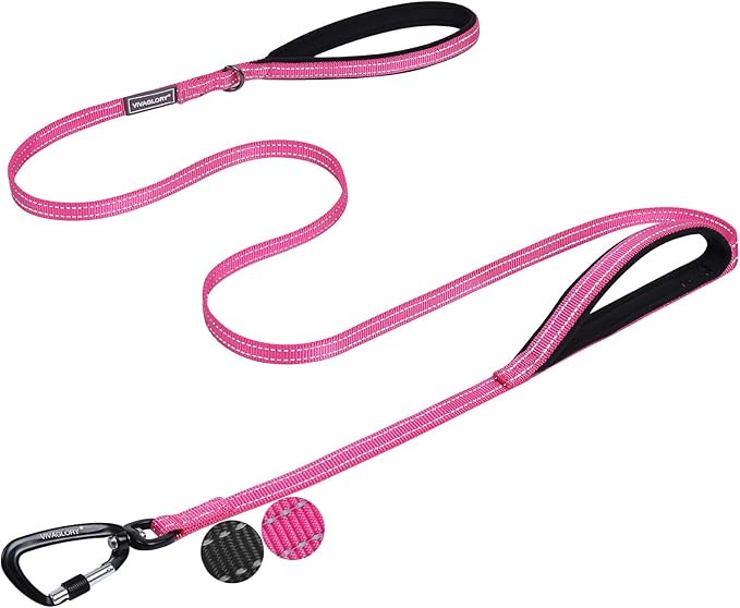 VIVAGLORY Dog Leash Lighthook Double Handle Dog Leash with Traffic Handle & Locking Carabiner for Walking & Training, Traffic Control Lightweight Carabiner for Puppy Pet, 4ft x 1/2in, Pink