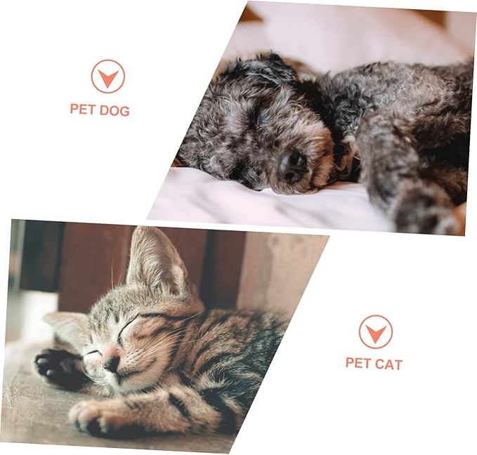 POPETPOP Pet Water Dispenser Bowl Automatic Feeder for Cats and Dogs Easy to Clean