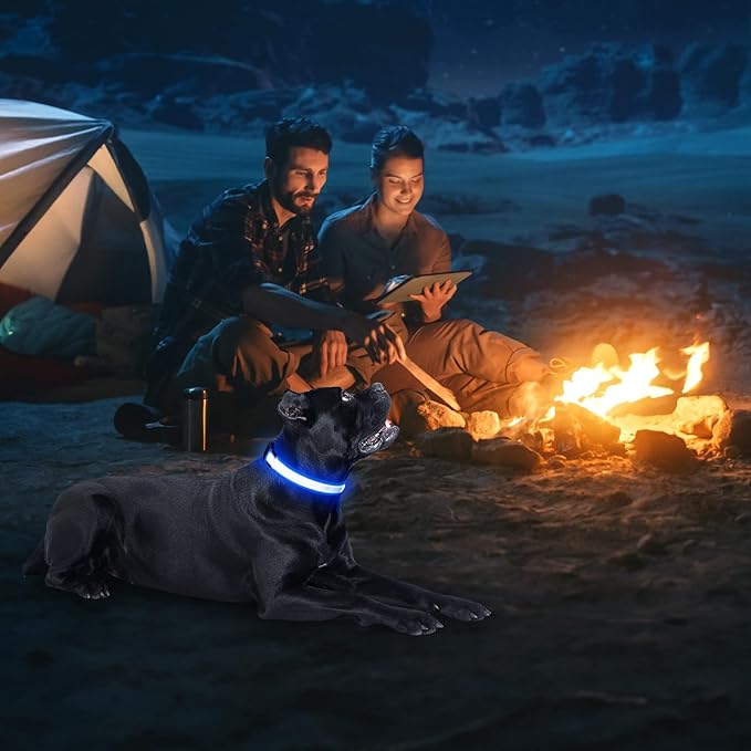 Illumifun LED Dog Collar, Water-Resistant Light Up Dog Collar, Safety Dog Collar Light for Your Dogs Walking Camping(Blue, X-Large)