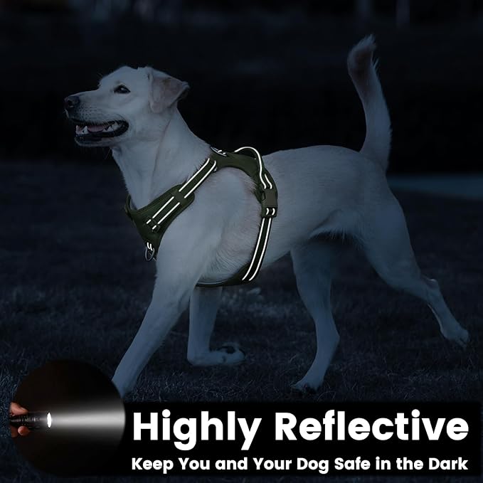 No Pull Dog Harness, Reflective Puppy Vest for Small Medium Large Sized Dog (Misty Green,XS)