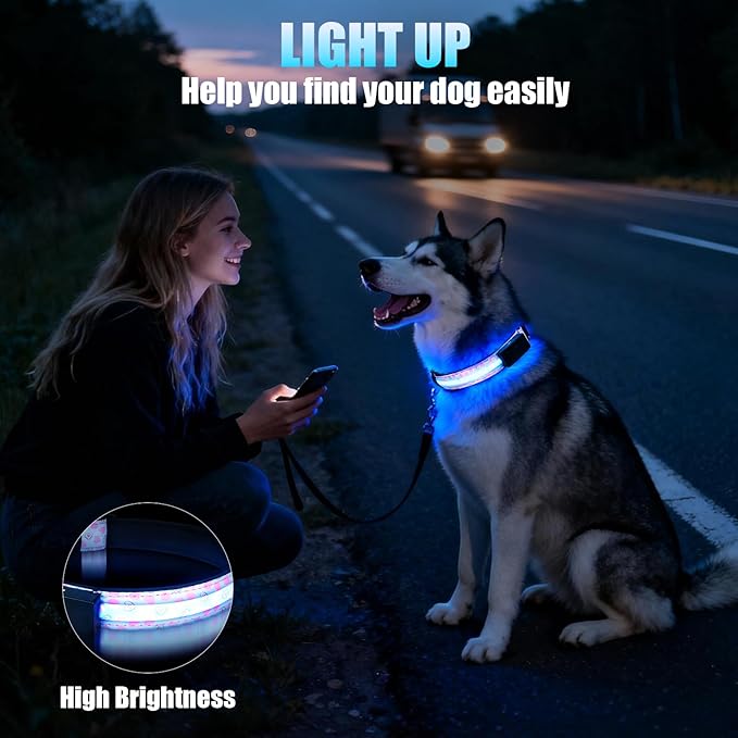 LED Dog Collar - Brightest Light Up Dog Collars - 1,600 Feet of High Visibility - Magnetic Charging - Dog Lights for Night Walking, Heart Medium