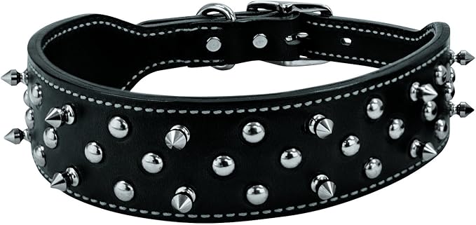 Weaver Leather Pet Spike Collar