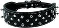 Weaver Leather Pet Spike Collar