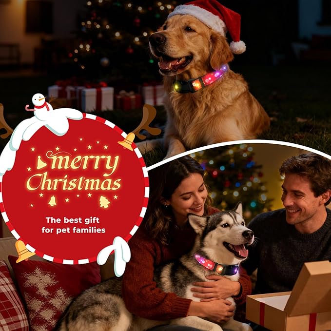 Christmas Light Up Dog Collar, LED Dog Collar Glow in The Dark - USBC Rechargeable, 3 Flashing Modes, Fashionable Cute Glowing Dog Light Up Collars for Medium Large Dogs, Santas M