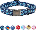 Elegant little tail Dog Collar, Blue Shark Pattern Pet Collar Durable Cute Dog Collars Male or Female Pet Gift Adjustable Dog Collar for Small Dogs