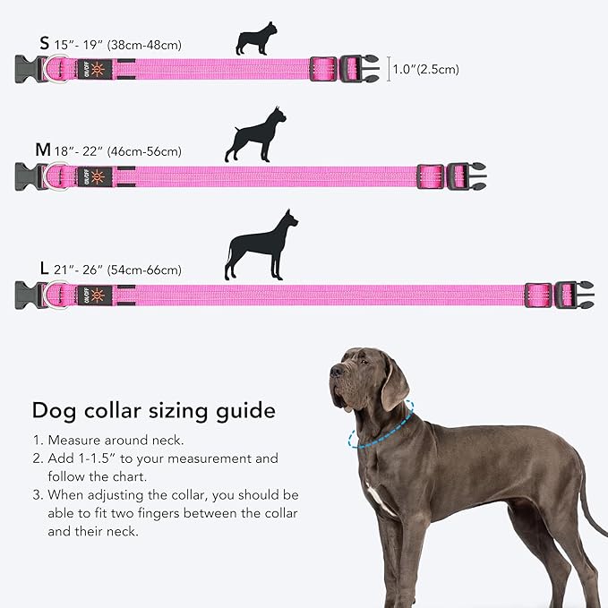 Weesiber Light Up Dog Collars - USB Rechargeable LED Dog Collar - Flashing LED Collar for Dogs - Glowing Dogs Lights for Night Walking (Pink, Medium Collar)
