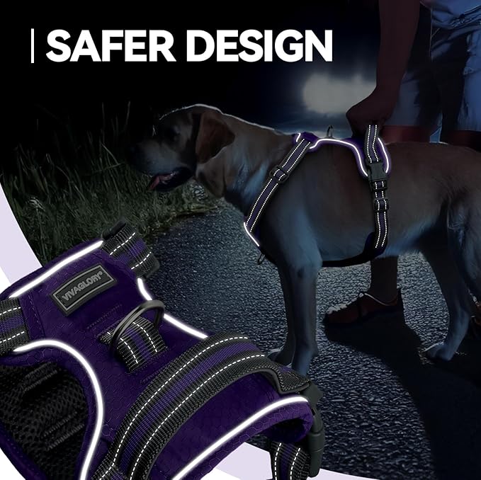 VIVAGLORY Dog Harness Easewalk No Pull Dog Harness with Handle Front Clip & Back Clip for Training Walking Lifting, No Pull Adjustable Easy On Padded Comfortable for Pet, M, Purple - Patterned