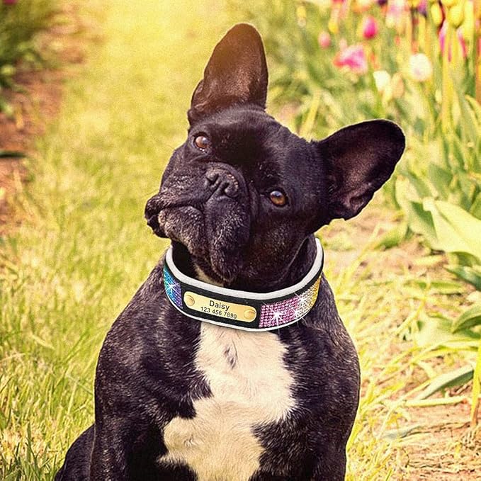 Personalized Dog Collar Crystal Rhinestone Dog Collars Anti-Lost Soft Padded ID Collar Free Engraved for Small Medium Large Dogs Black S