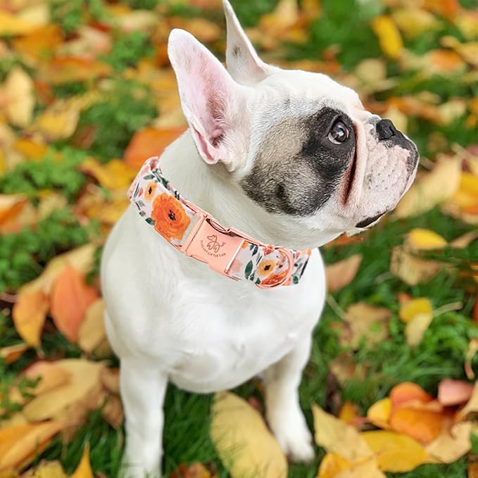 Elegant little tail Fall Dog Collar, Pet Collar Durable Orange Floral Dog Collars Male or Female Holiday Pet Gift Adjustable Dog Collar for Large Dogs