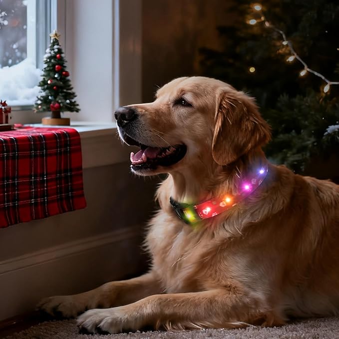 Christmas Light Up Dog Collar, LED Dog Collar Glow in The Dark - USBC Rechargeable, 3 Flashing Modes, Fashionable Cute Glowing Dog Light Up Collars for Medium Large Dogs, Santas M