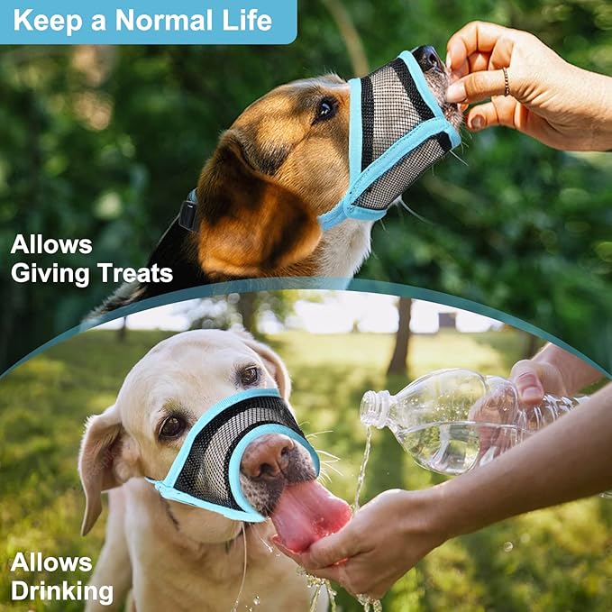 LUCKYPAW Dog Muzzle, Mesh Muzzle for Small Medium Dogs, Soft Mouth Cover to Prevent Biting Chewing, Drinkable Breathable Adjustable Puppy Mouth Guard(S, Baby Blue)