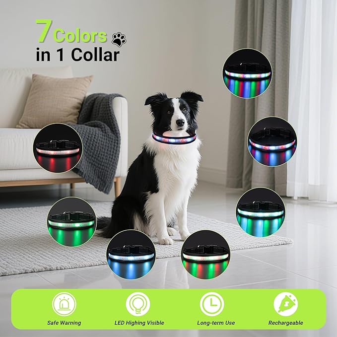 Light Up Dog Collar,Rechargeable Waterproof Led Dog Collar with Remote,Glow in Dark for Night Walking, Fits Small Medium Large Dogs-S