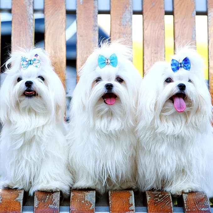 Tondiamo 100 Pack Winter Snowflake Dog Hair Bows with Rubber Bands White Blue Rhinestone Puppy Bows Winter Pet Dog Hair Grooming Accessories for Small Girl Dogs (Snowflake Pattern)