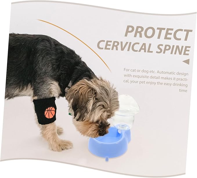 Dog Water Dispenser Automatic Pet Feeding Large Bowl Slow Feeder Pet Drinking Fountain