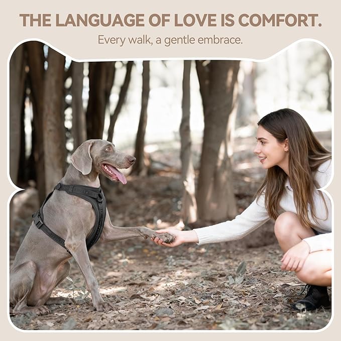 No Pull Dog Harness with Lycra, Three-Point Force Dispersion & 3D Padding, Adjustable Breathable Mesh for Small Medium Large Dogs(Black,XL)